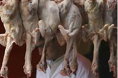 Halal Chickens