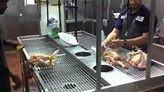 Halal Chickens