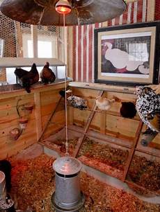 Chickens
